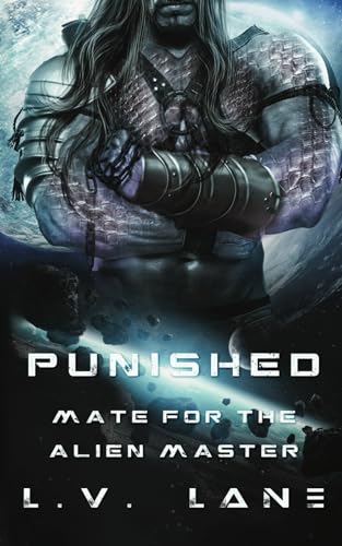 Punished book cover