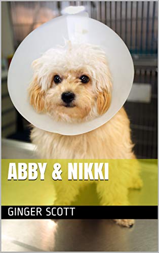 Abby & Nikki book cover