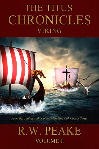Viking book cover
