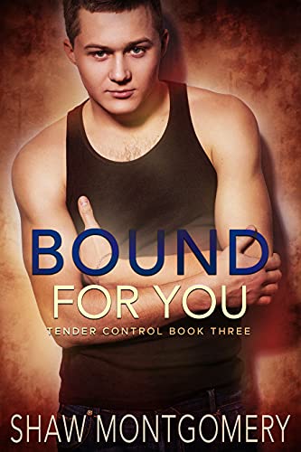 Bound for You book cover