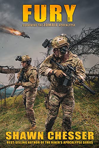 Fury book cover