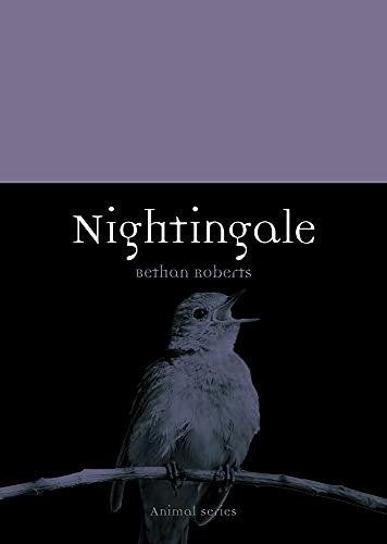 Nightingale (By: Bethan Roberts) cover