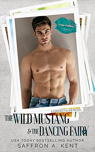 The Wild Mustang & The Dancing Fairy book cover