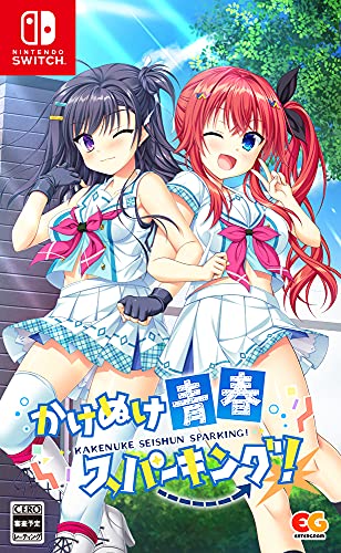 みんなで決めるエンターグラムのゲーム人気ナンバー1投票＆ランキング　83位　かけぬけ★青春スパーキング！の画像