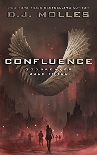 Confluence book cover