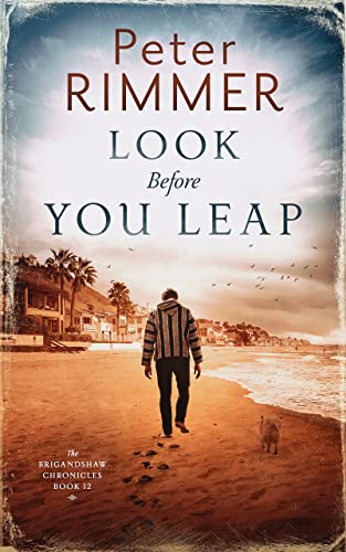 Look Before You Leap book cover