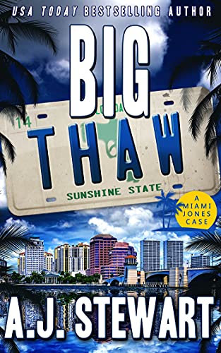 Big Thaw book cover