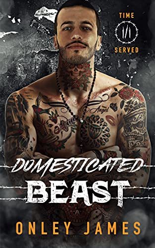 Domesticated Beast book cover