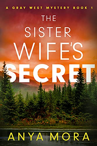 The Sister Wife's Secret book cover