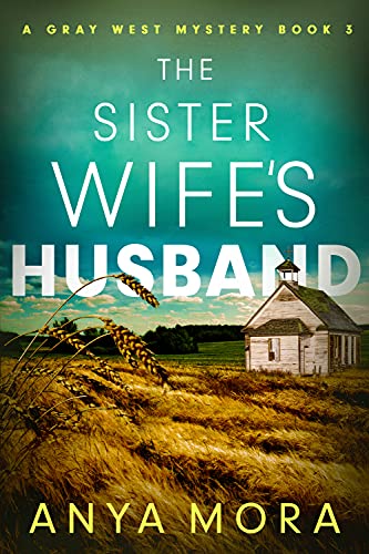 The Sister Wife's Husband book cover