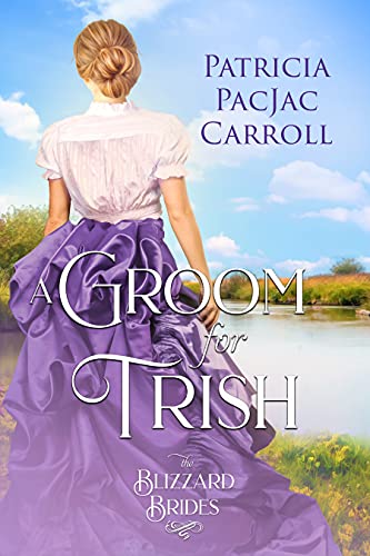 A Groom for Trish book cover