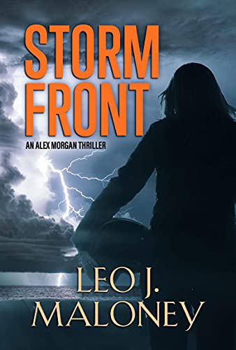 Storm Front book cover
