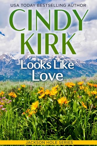 Looks Like Love book cover