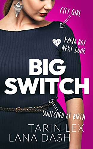 Big Switch book cover