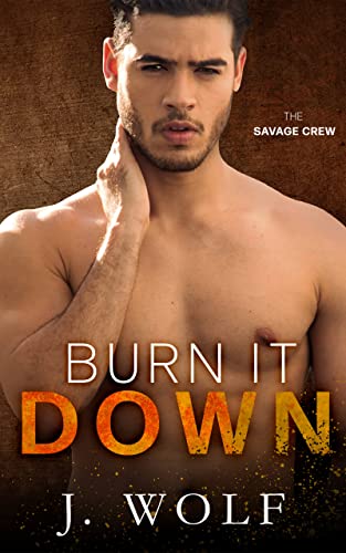 Burn it Down book cover