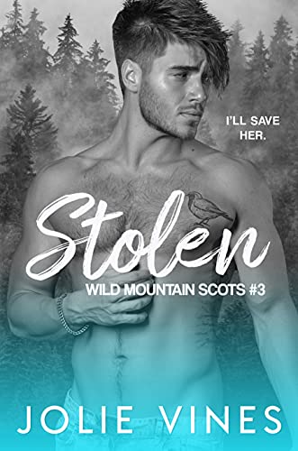 Stolen book cover