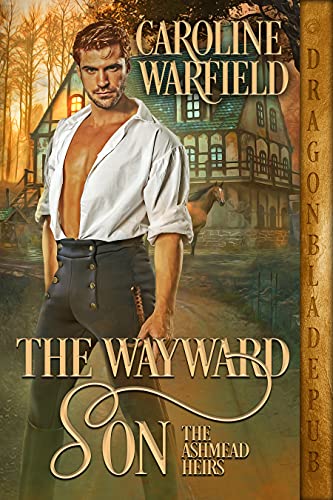 The Wayward Son book cover