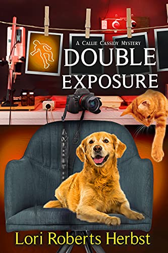 Double Exposure book cover