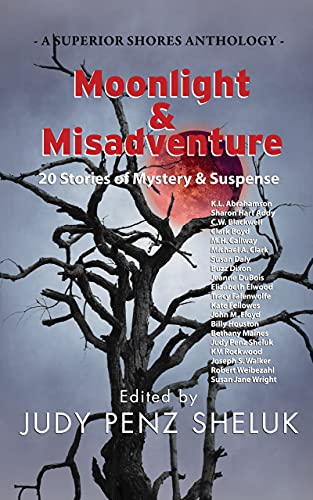 Moonlight & Misadventure: 20 Stories of Mystery & Suspense cover