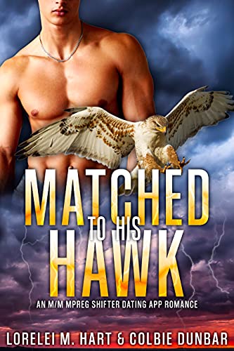 Matched to His Hawk cover