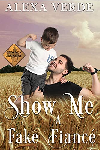 Show Me a Fake Fiancé book cover