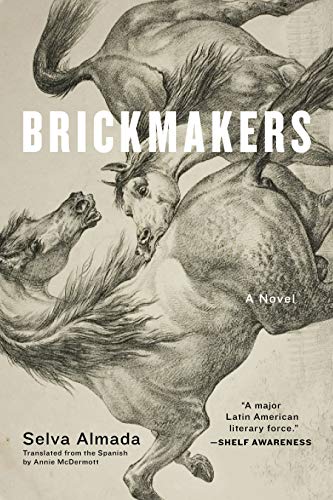 Brickmakers book cover