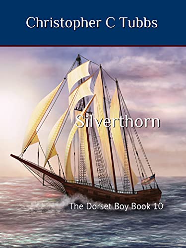Silverthorn book cover