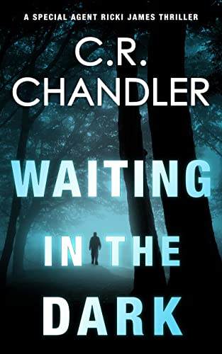 Waiting in the Dark book cover