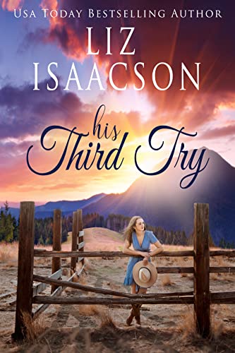 His Third Try book cover
