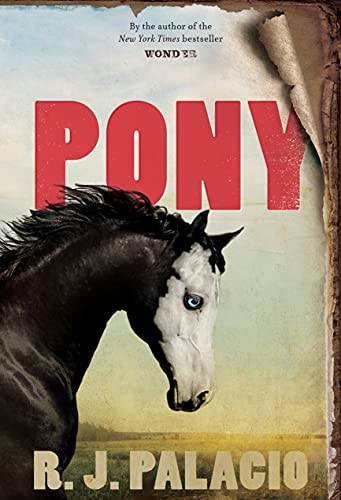 Pony book cover