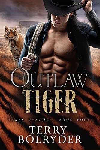 Outlaw Tiger book cover