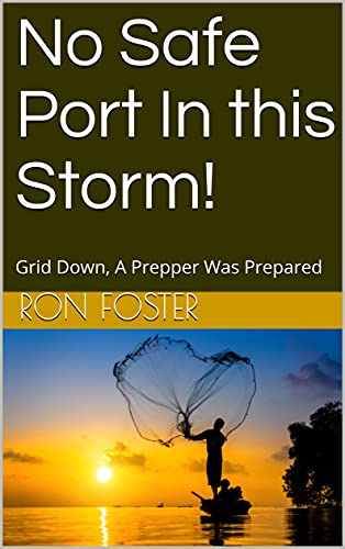 No Safe Port In this Storm! cover