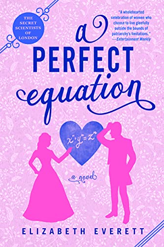 A Perfect Equation book cover