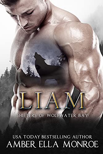Liam book cover