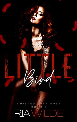 Little Bird book cover