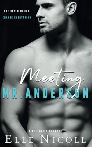 Meeting Mr Anderson book cover