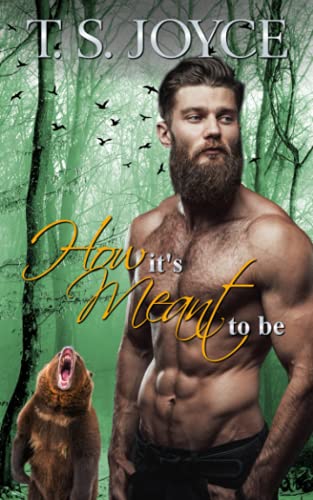 How It's Meant to Be book cover