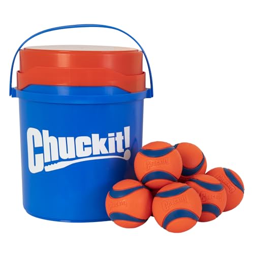 Chuckit! Ultra Ball Dog Toy with Chuckit! Cleaning Bucket Bundle, Bouncy Fetch Pet Toys For Dogs 20-60 lbs, Interactive Dog Toys, Durable Rubber, Size Medium, 2.5-inch Diameter, 8-Pack of Balls