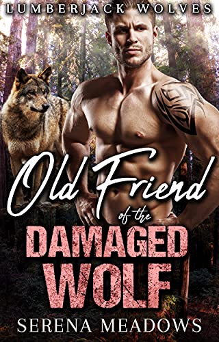 Old Friend of The Damaged Wolf cover