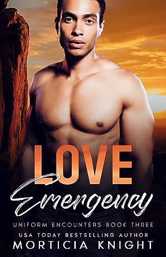 Love Emergency / Lost Emergency book cover