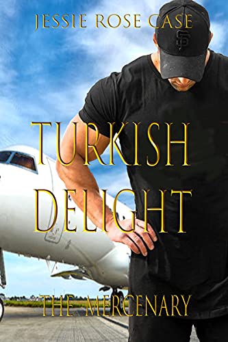 The Mercenary Davide book cover