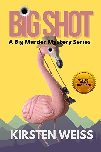 Big Shot book cover