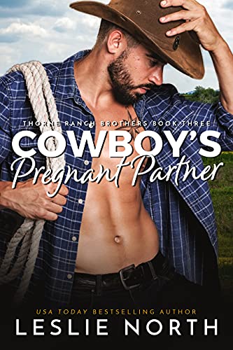 Cowboy's Pregnant Partner book cover