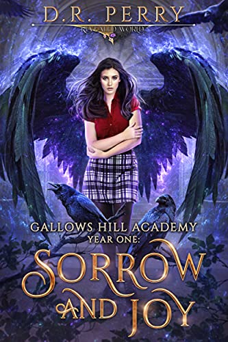 Sorrow and Joy: Year One cover