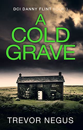 A Cold Grave book cover