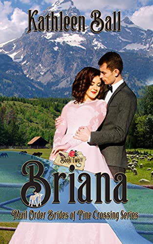 Briana book cover