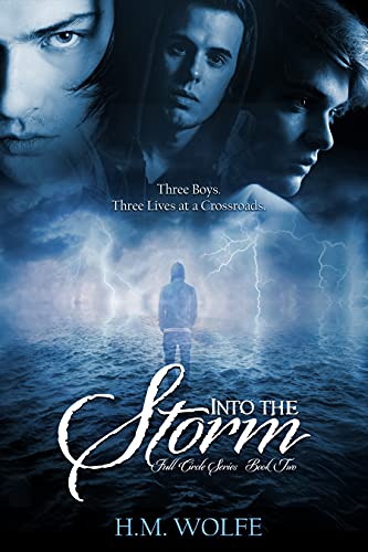 Into The Storm book cover
