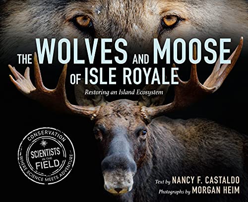 The Wolves and Moose of Isle Royale (By: Nancy F. Castaldo) cover