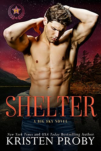 Shelter book cover