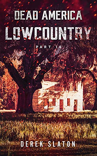 Lowcountry Pt. 14 cover